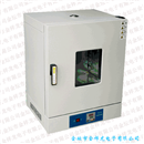 立式电热干燥箱（101/202系列）